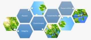 About - Behavioral Profiling In Games