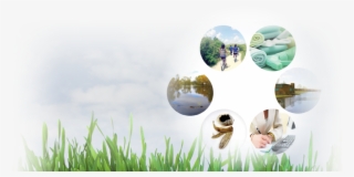 Presenting The Fortwhyte Alive Sustainability Plan - Grass