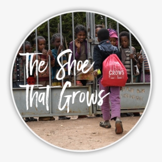 The Shoe That Grows - Toddler