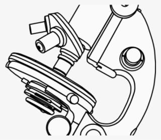 Microscope Clipart Clip Art - Microscope Clip Art Black And White