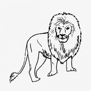 Large Size Of How To Draw A Angry Lion Drawing Youtube - Easy Drawings Of Wild Animals
