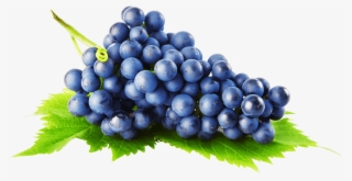Black Grapes Png Image Background - Png Grapes