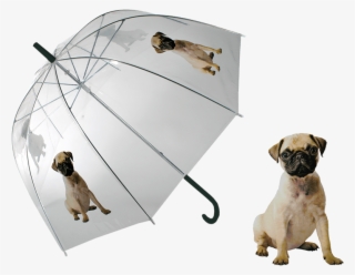 Details About Umbrella Pug Dog Clear Transparent Dome - Detský Priehľadný Dáždnik