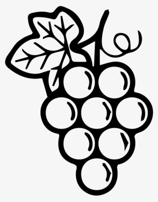 Grapes Black - Line Art - 3616x3616 PNG Download - PNGkit