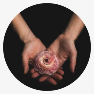 Hands