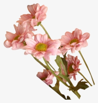 Download Cliparts And Objects In Full Resolution Please - Flower Psd Cliparr