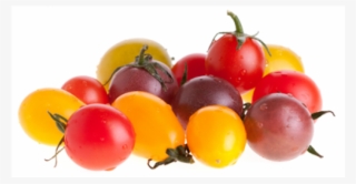 Tomatoes Clipart Tomato Crop - Cherry Tomatoes