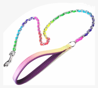 Rainbow Dog Chain - Leash