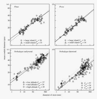 The Relationship Between Tree Stem Diameter And Mean - Diagram