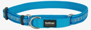 Martingale Daisy Chain Turquoise Designer Dog Collar - Belt