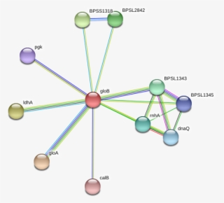 Glob Protein - Circle