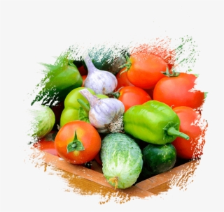 Fresh Fruit & Vegetables Supplier, Distributors In - Farm