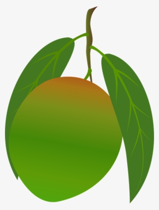 Mango Clipart Food - มะม่วง Png