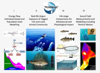 4 Components - Ocean