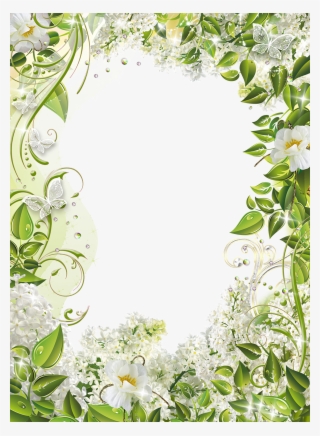 R16 07 Mar 2015 - Lily Family