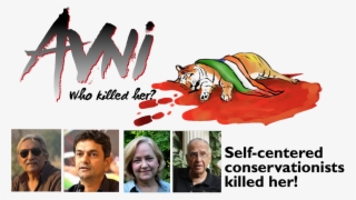 Anand Siva - Belinda Wright Save Tiger