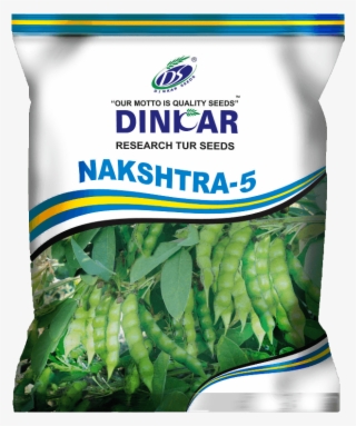 Pegion Pea - Pigeon Pea