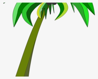 Plant Clipart Coconut Tree - Clip Art