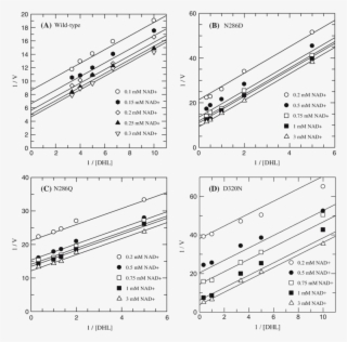 Double Reciprocal Plots For Initial Velocities For - Diagram
