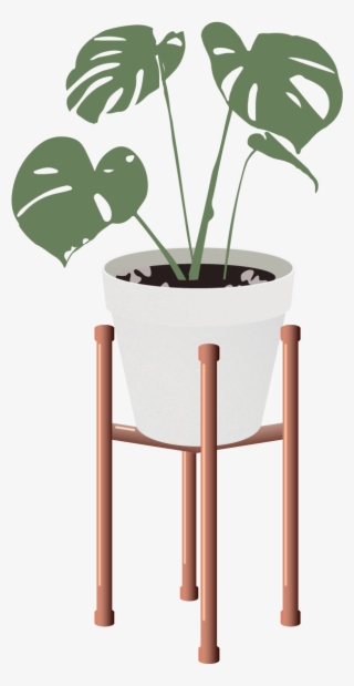 Vector Indoor Plants - Interior Design