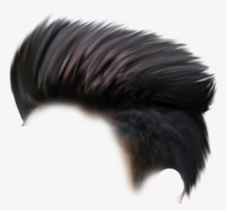 Rabbit Png, Hd Background Download, Picsart Background, - Hairstyle Png For Picsart
