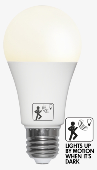 Led Lamp