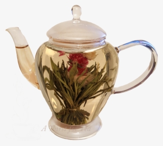 Transparent Teapot Clear Glass - Teapot