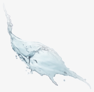 Water Splash Png - Tucuxi
