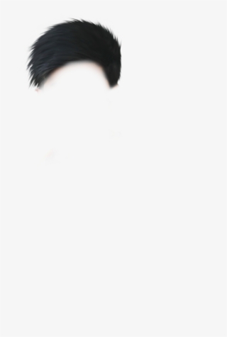 Hd Hair Png Download,picsartallpng - Pyrrharctia Isabella