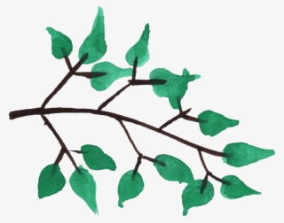Free Png Download Watercolor Tree Branches Png Images - Watercolor Tree Branches Png