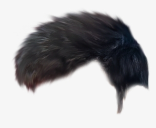 Hair Png The Water Manipulation Editing Background - Insect