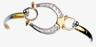 Two-toned Horseshoe Topper And Bracelet - Bracelet