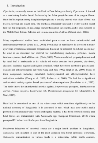 Pdf - No Loyal Citizen Of The Us Should