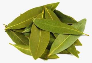 Bay Leaf - Pile Of Eucalyptus Leaves