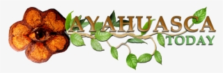 Ayahuasca Today Logo Large - Gourd