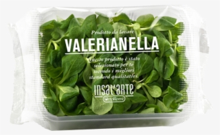 Spinach