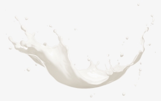 Chocolate Chips Chocolate Chip Chocolate Chip Blueberry - Got Milk Splash