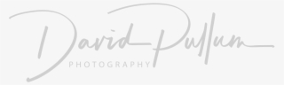 Somerset Cornwall Wedding Photographer Devon, Somerset - Calligraphy