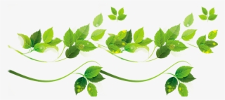 Vine Vector Plant Illustrator - Plants Vector Png