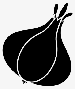 Garlic - Illustration