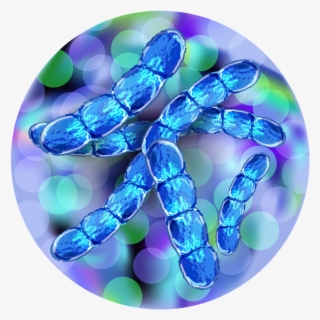 Current Clinical Trials Related To Vaccines - Streptococcus Pneumoniae