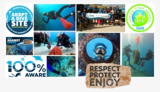 Join In The Dive Bus Monthly Project Aware Adopt A - Project Aware
