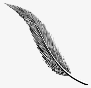 Art Project Diary Working On Some Inked - Illustration