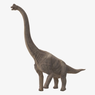 Sauropod Free Download Png Hq - Brachiosaurus Hd