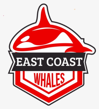 Team Owner - Ziad Abbas - Kids Store