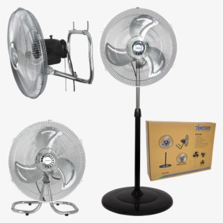 Fan