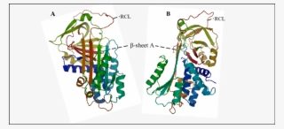 Crystal Structure Of Α 1 Pi In Two Projections - Illustration