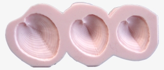 Cockle Shells - Hardwood