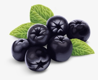 Bilberry