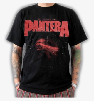 Img - Vulgar Display Of Power